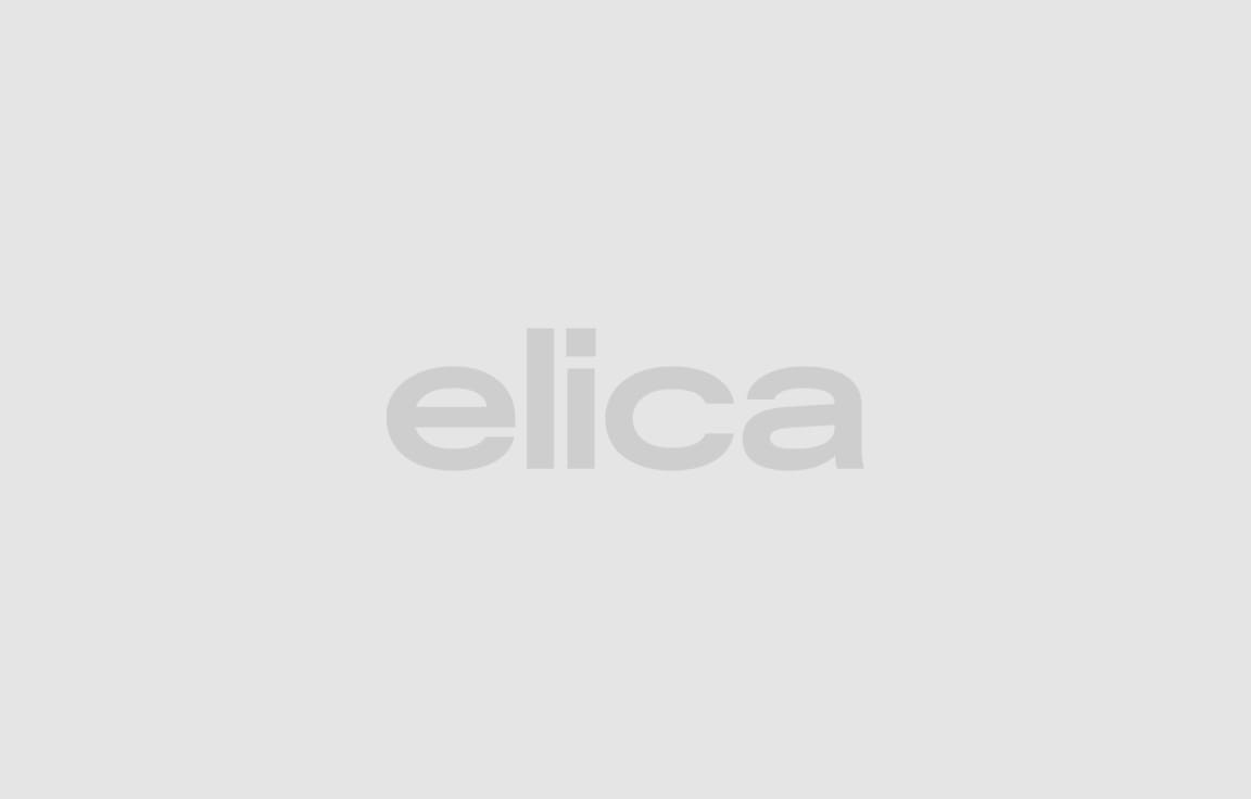 Strategia podatkowa Elica Group polska 2023