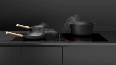 Hobs Extractor NikolaTesla Flux gallery 0