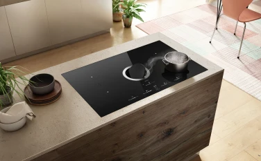 เตาประกอบอาหาร เตาประกอบอาหารพร้อมเครื่องดูดควันในตัว NikolaTesla Switch Lux gallery 0